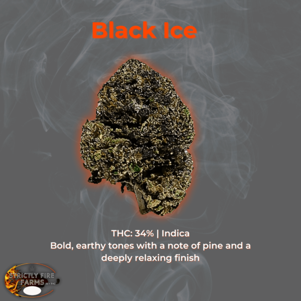 Black Ice cannabis flower with bold earthy tones, pine aroma, and 34% THC