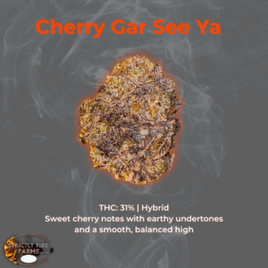 Cherry Gar See Ya cannabis flower with sweet cherry notes, earthy undertones, and 31% THC.