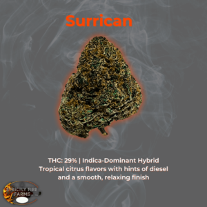 Slurricane cannabis flower with tropical citrus flavors, diesel aroma, and 29% THC.